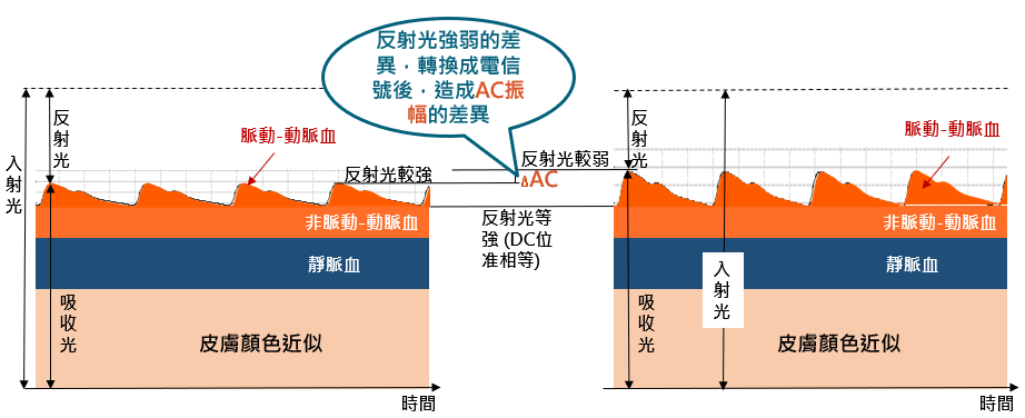 ACCG100 也提供了使用者調整 AC 電壓的功能,用以模擬不同動脈血液容量的變化。 ACCG100 也提供了使用者調整 AC 電壓的功能,用以模擬不同動脈血液容量的變化。
