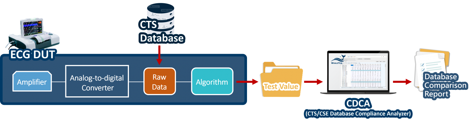 Digital Tests of CTS Database